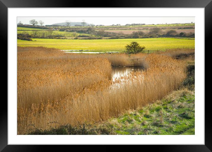 Norfolk Coast path National Trail  Framed Mounted Print by Andrew Michael