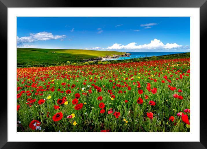 Poppy fields on the north Cornwall coast  Framed Mounted Print by Eddie John