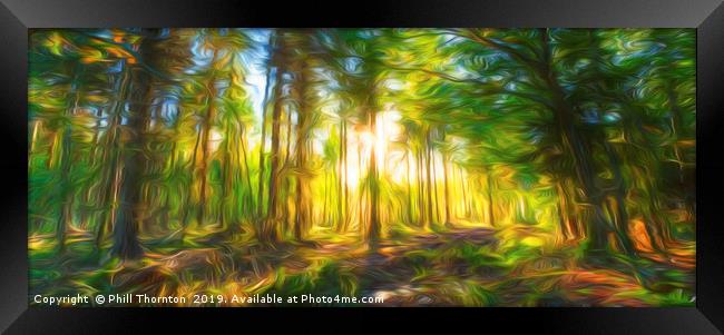 Sunset in the woods Framed Print by Phill Thornton