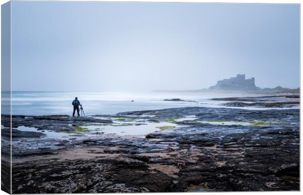 Bamburgh Castle on the Northumberland coast.   Canvas Print by chris smith