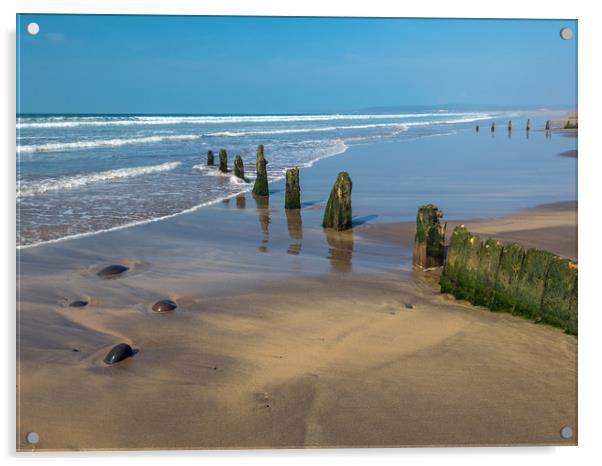 Weathered groynes at Westward Ho! beach in Devon Acrylic by Tony Twyman