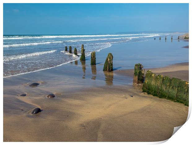 Weathered groynes at Westward Ho! beach in Devon Print by Tony Twyman