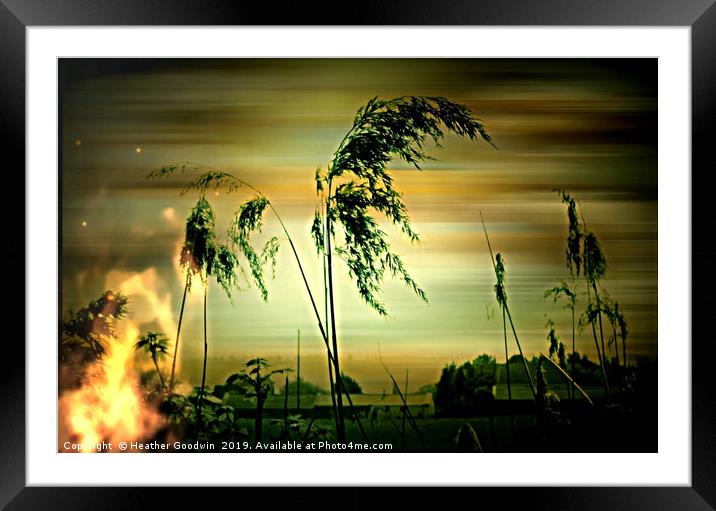 Burning Reeds Framed Mounted Print by Heather Goodwin