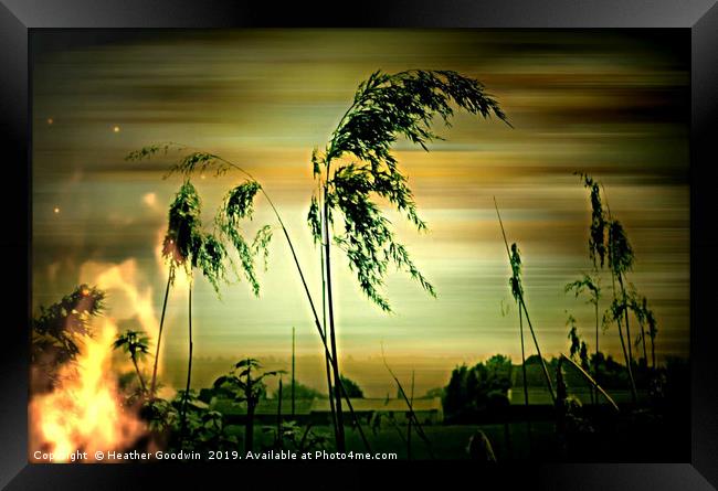 Burning Reeds Framed Print by Heather Goodwin