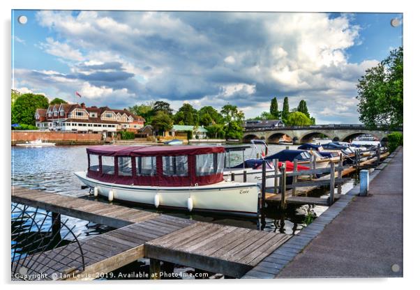 Moorings at Henley on Thames Acrylic by Ian Lewis