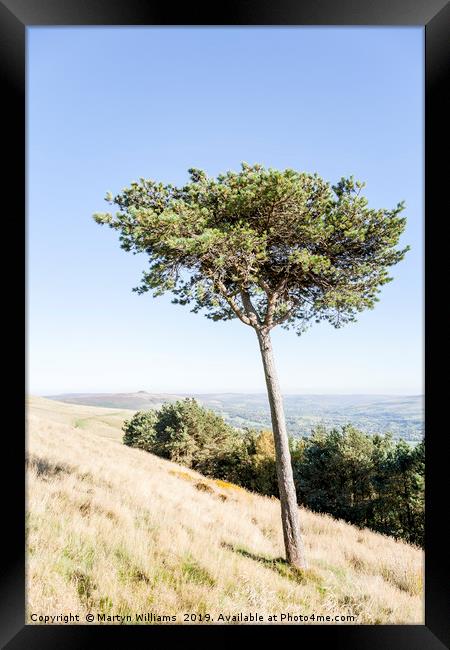 Tree, Back Tor Framed Print by Martyn Williams