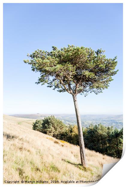 Tree, Back Tor Print by Martyn Williams