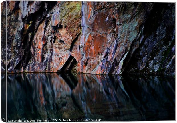 Cave wall reflections Canvas Print by David Tomlinson