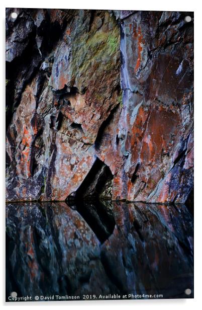 Cave wall reflections - Portrait Acrylic by David Tomlinson