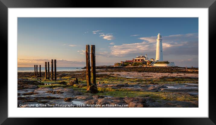 St Marys Lighthouse  Framed Mounted Print by Tyne Tees Photography