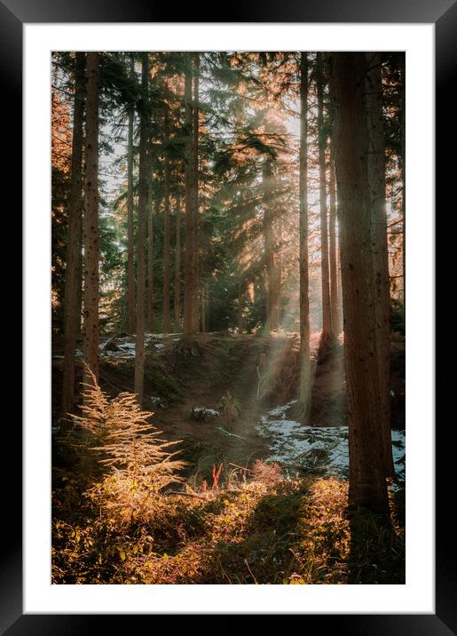 East Sussex Sunrise Framed Mounted Print by Ben Hatwell