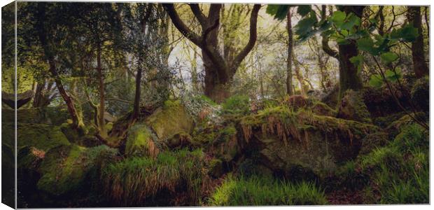 Kennall Vale Woodland Canvas Print by Ben Hatwell