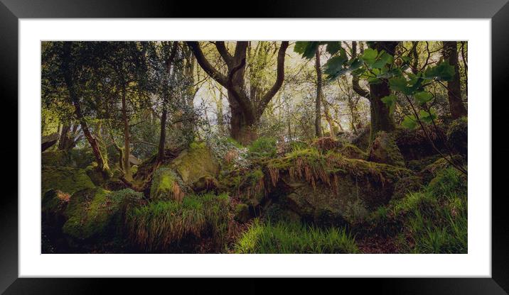 Kennall Vale Woodland Framed Mounted Print by Ben Hatwell
