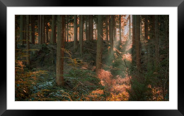 Sunrise in Sussex Framed Mounted Print by Ben Hatwell