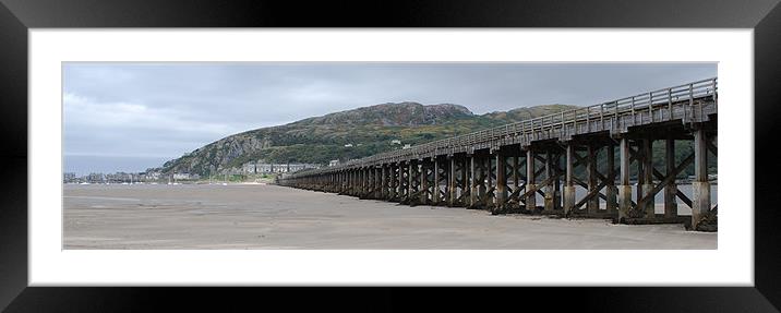 The Barmouth Bridge Framed Mounted Print by Ray Lewis