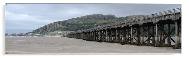 The Barmouth Bridge Acrylic by Ray Lewis