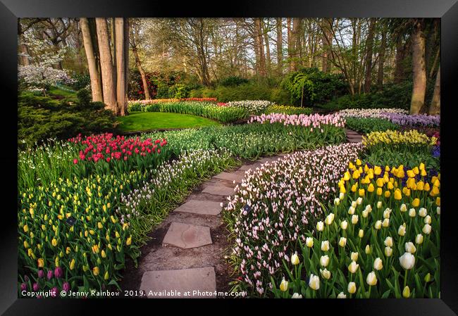 Pathway through Colorful Flowerbeds in Keukenhof Framed Print by Jenny Rainbow