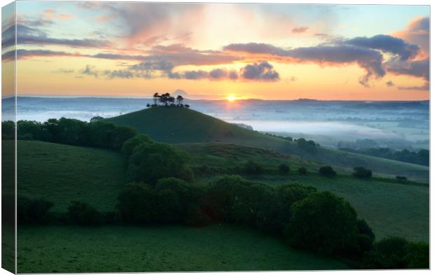 Colmer's Summer Sunrise Canvas Print by David Neighbour