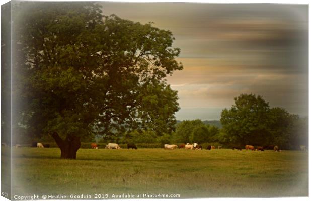 Quiet Pastures Canvas Print by Heather Goodwin