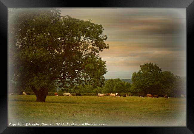 Quiet Pastures Framed Print by Heather Goodwin