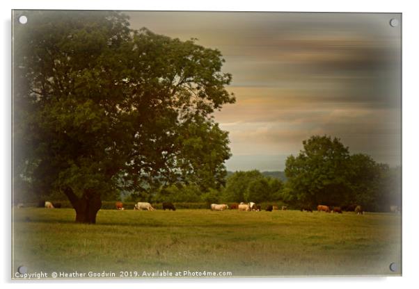 Quiet Pastures Acrylic by Heather Goodwin