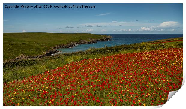 West Pentire ,Red poppies and Corn Marigold  Print by kathy white