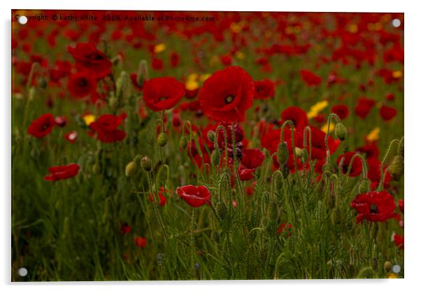 wildflower s,Red poppies of West Pentire  Cornwall Acrylic by kathy white