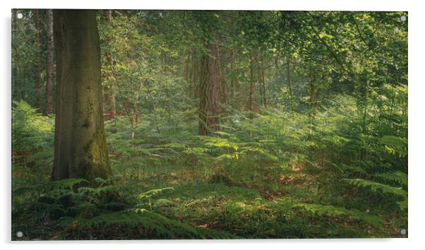 Ashdown Forest Landscape  Acrylic by Ben Hatwell