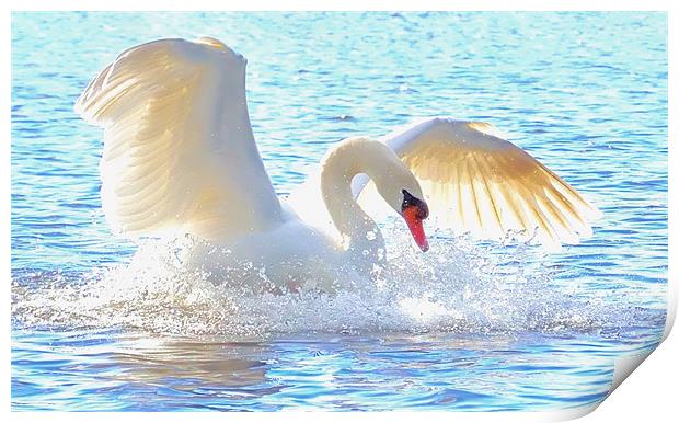 The White Swan Print by Lauren Meyerink