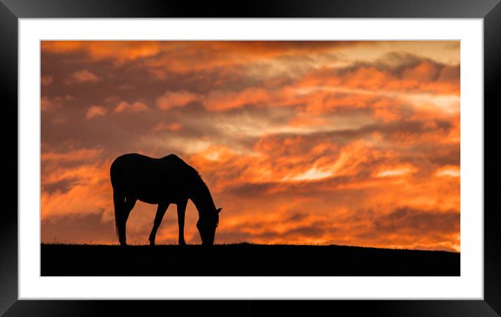 Yorkshire Sunset silhouette Framed Mounted Print by Mark S Rosser