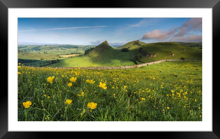 Buttercups and Parkhouse Hill Framed Mounted Print by John Finney