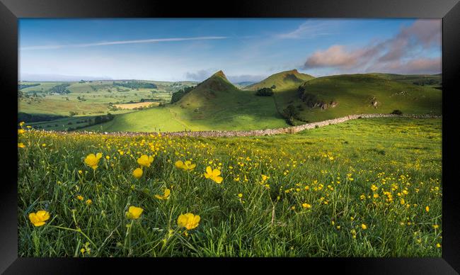 Buttercups and Parkhouse Hill Framed Print by John Finney