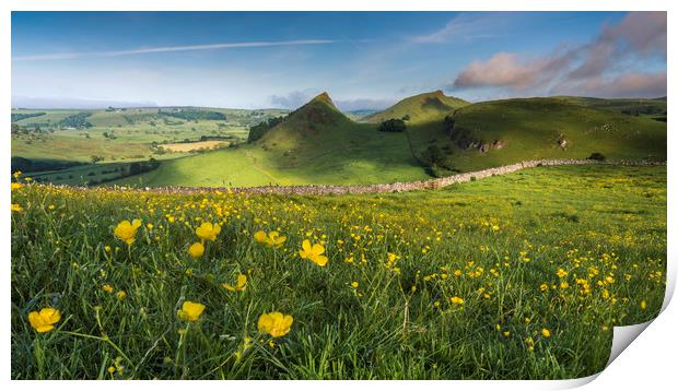 Buttercups and Parkhouse Hill Print by John Finney