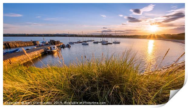 Golden Grasses at Beadnell Print by Gary Clarricoates