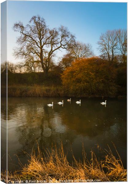 River Stour in Winter Canvas Print by Paul Brewer