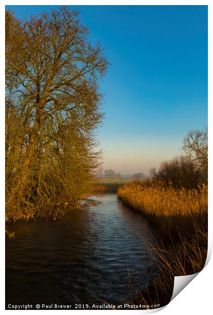 River Stour in Winter Print by Paul Brewer