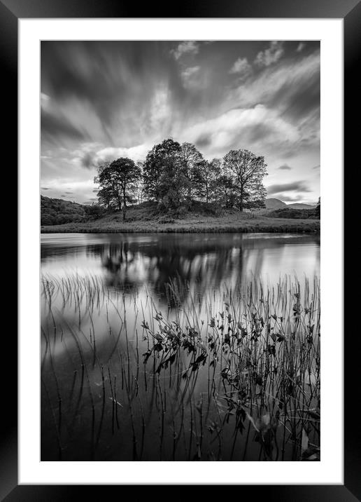 Trees at Elterwater Framed Mounted Print by Jed Pearson
