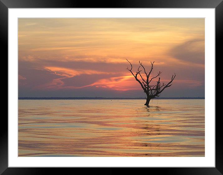Lake Maracaibou Sunset Framed Mounted Print by tim bowron