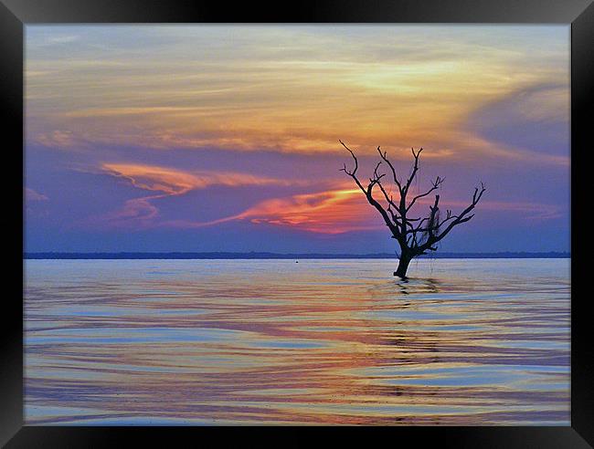 Lake Maracaibou Sunset, Venezuela Framed Print by tim bowron