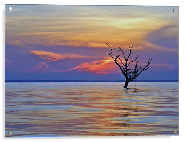 Lake Maracaibou Sunset, Venezuela Acrylic by tim bowron