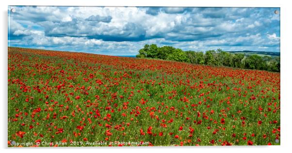 Poppy Fields at Bury Hill Acrylic by Chris Allen