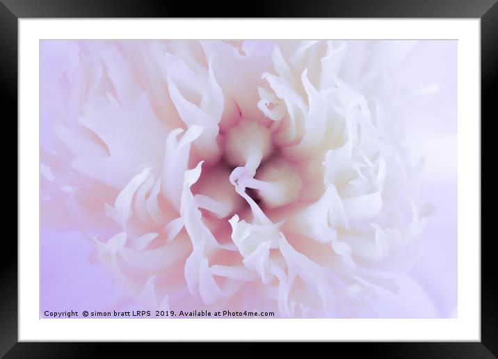 White Paeonia flower head abstract close up Framed Mounted Print by Simon Bratt LRPS