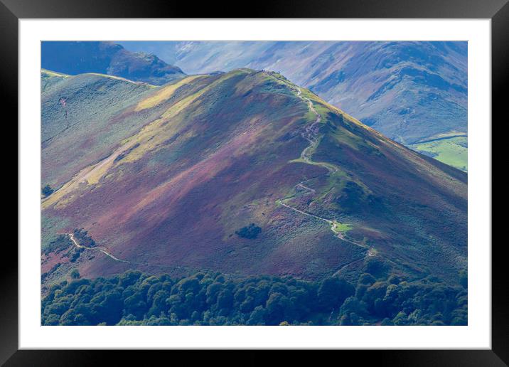 Pathway to Catbells Framed Mounted Print by Roger Green