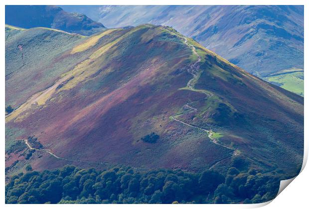 Pathway to Catbells Print by Roger Green