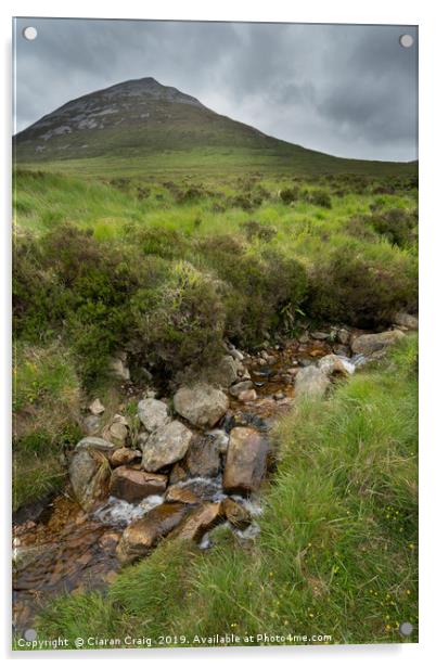 Mount Errigal Stream  Acrylic by Ciaran Craig