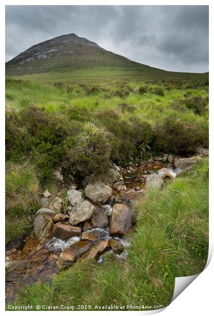 Mount Errigal Stream  Print by Ciaran Craig