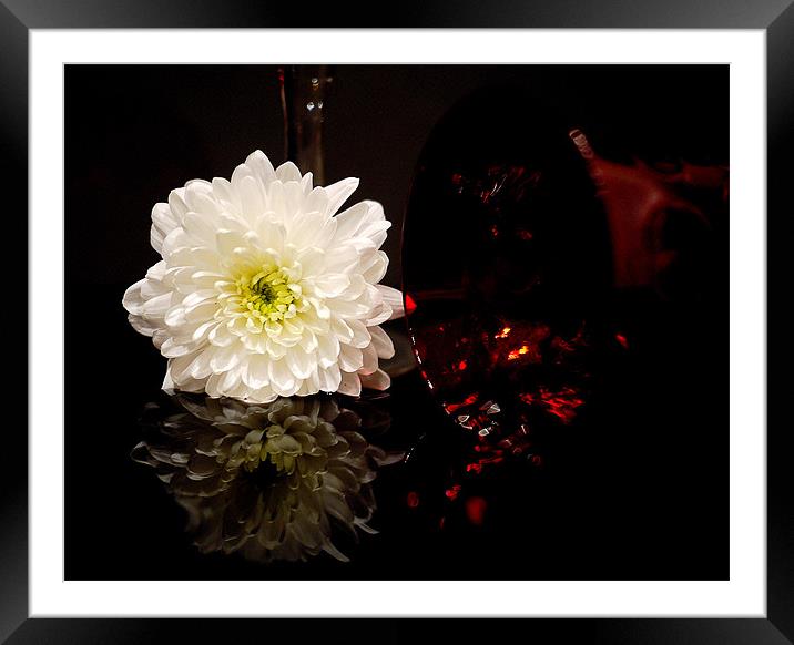 Flower Spillage Framed Mounted Print by Louise Godwin