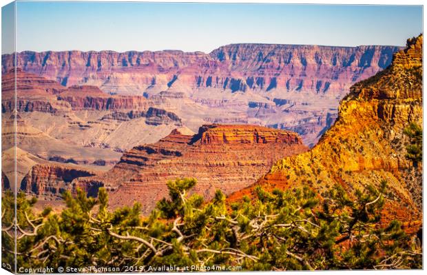 The Grand Canyon from the South Rim Canvas Print by Steve Thomson