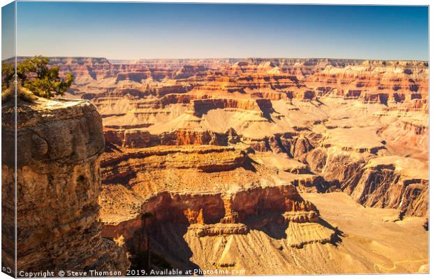 The Long View - Grand Canyon Canvas Print by Steve Thomson