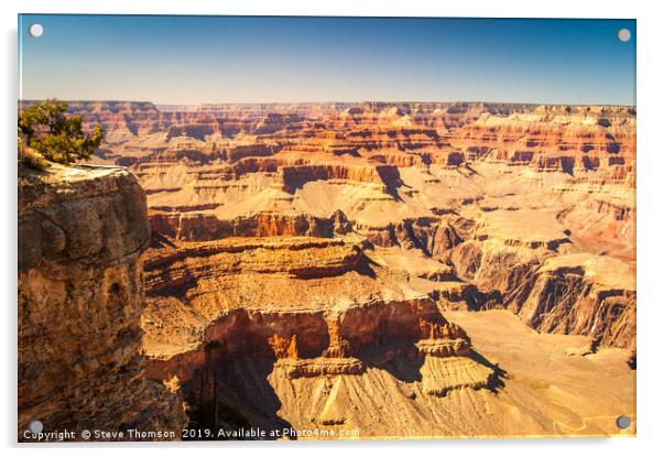 The Long View - Grand Canyon Acrylic by Steve Thomson